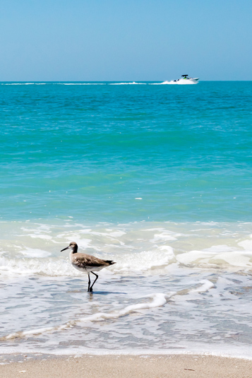Destin Snowbird Rentals callout
